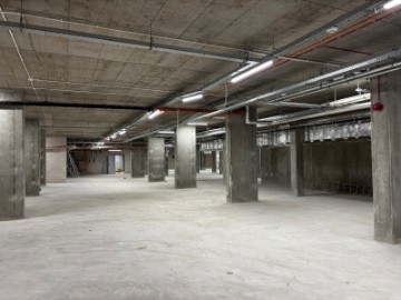 Zdjęcie z galerii